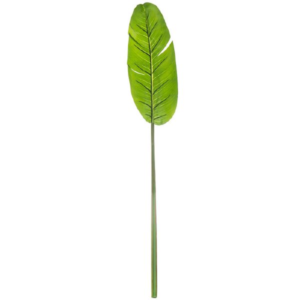 Bailey Banana Leaf Stem