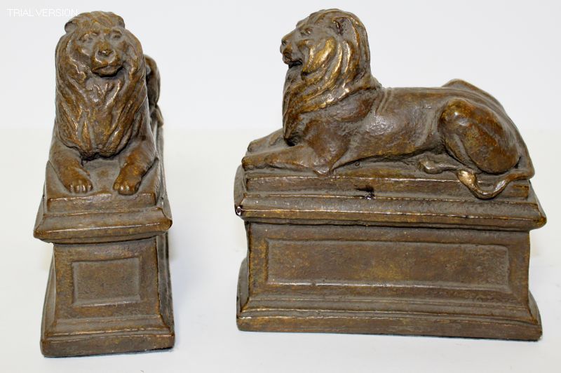 Lions Bookends