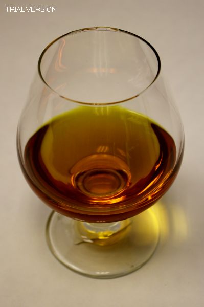 Brandy Glass